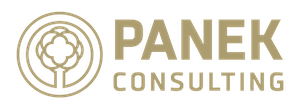 panek.consulting